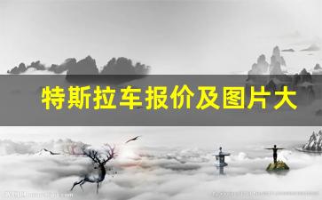 特斯拉车报价及图片大全价格(特斯拉踏板图片)_https://www.taocizhiliang.com_设计报价_第1张
