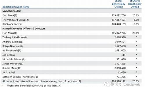 特斯拉马斯克股权结构_马斯克占特斯拉多少股权