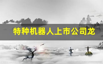 特种机器人上市公司龙头(特种机器人上市公司龙头有哪些)_https://www.jumanxin.com_深交所_第1张