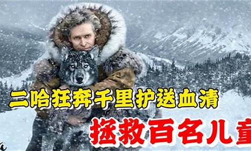 狂奔的生肖-狂奔千里力气大打一生肖是什么