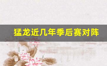 猛龙季后赛晋级之路-猛龙近几年季后赛对阵
