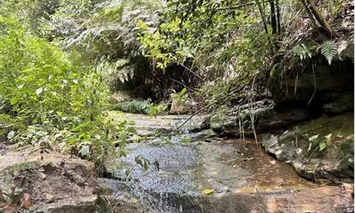 玉峰山森林公园门票多少钱,玉峰山森林公园介绍