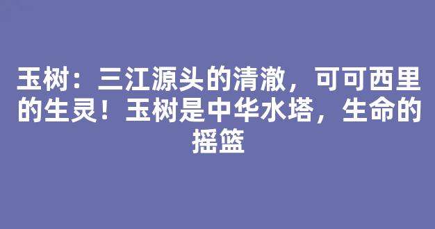 玉树：三江源头的清澈，可可西里的生灵！玉树是中华水塔，生命的摇篮