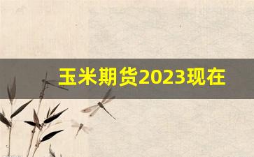 玉米期货2023现在行情(玉米期货最新行情)_https://www.wanyuyiyao.com_创业板_第1张