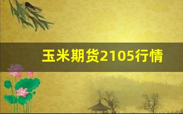 玉米期货2105行情(玉米2201期货行情)_https://www.tuogunzhijia.com_纳指期货_第1张