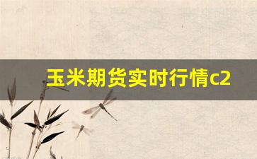 玉米期货实时行情c2209(玉米期货实时行情百度)_https://www.hbxfywj.com_基金知识_第1张