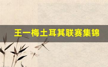 王一梅主攻-王一梅土耳其联赛集锦