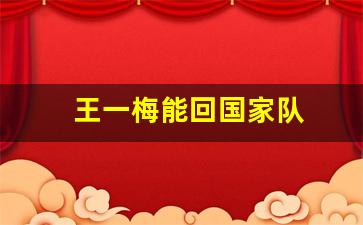 王一梅能回国家队吗-王一梅能回国家队