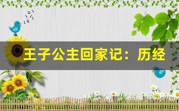 王子公主回家记：历经波折，勇敢追寻属于自己的幸福王国(王子公主回家记第一关攻略)-第1张图片-我的生活随想