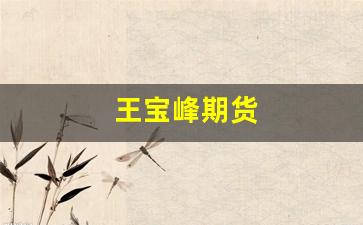 王宝峰期货(王宝峰期货界 付海棠)_https://www.xzdzcjn.com_上交所_第1张