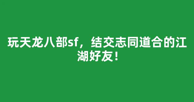 玩天龙八部sf，结交志同道合的江湖好友！