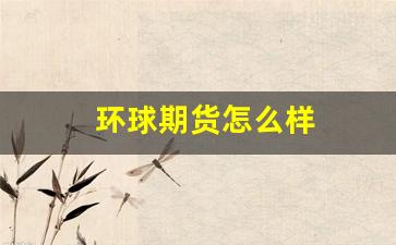 环球期货怎么样(环球期货官网)_https://www.gfdzclz.com_创业板_第1张
