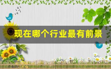 现在哪个行业最有前景(现在哪个行业最有前景赚钱最多)_https://www.qldgs.com_恒指期货_第1张