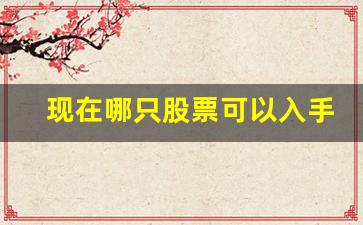 现在哪只股票可以入手(哪支股票可以入手)_https://www.taocizhiliang.com_效果图_第1张