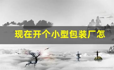 现在开个小型包装厂怎么样(开个包装厂大概投资多少)_https://www.wanyuyiyao.com_上交所_第1张
