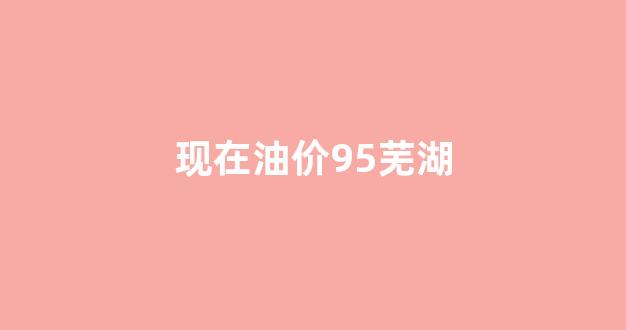 现在油价95芜湖_现在油价95芜湖油价多少