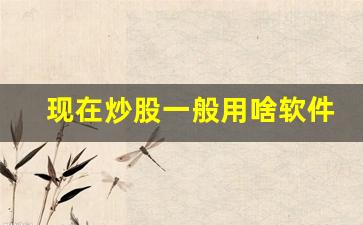 现在炒股一般用啥软件好(现在炒股用什么软件)_https://www.syklpowerbike.com_北交所_第1张