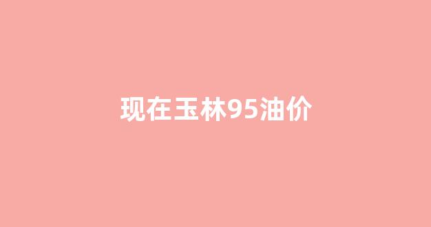 现在玉林95油价格是多少_现在玉林95油价