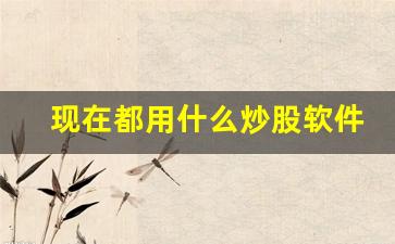 现在都用什么炒股软件(现在都用什么软件听歌)_https://www.luoxuangg888.com_北交所_第1张