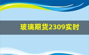 玻璃期货2309实时行情最新(玻璃期货今日报价行情)_https://www.senxinmaoyi.com_快递查询_第1张