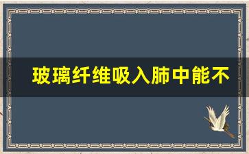 玻璃纤维吸入肺中能不能检测到(玻璃纤维吸入肺对人有多大害处)_https://www.taocizhiliang.com_效果图_第1张