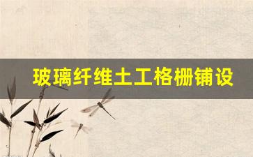 玻璃纤维土工格栅铺设图片(玻璃纤维土工格栅施工方案)_https://www.eamstsz.com_上交所_第1张