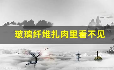 玻璃纤维扎肉里看不见怎么弄出来(玻璃纤维不小心扎在肉里怎么去掉)_https://www.jumanxin.com_科创板_第1张