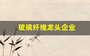 玻璃纤维龙头企业(玻璃纤维 龙头股)_https://www.hhem8.com_北交所_第1张