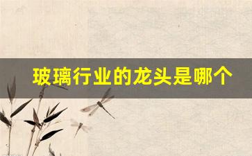 玻璃行业的龙头是哪个公司(玻璃行业的龙头是哪个公司的)_https://www.nalian8.com_北交所_第1张