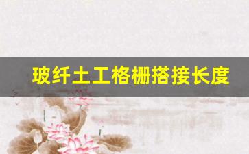 玻纤土工格栅搭接长度规范(玻纤土工格栅)_https://www.brunchezvous.com_旅游景点_第1张