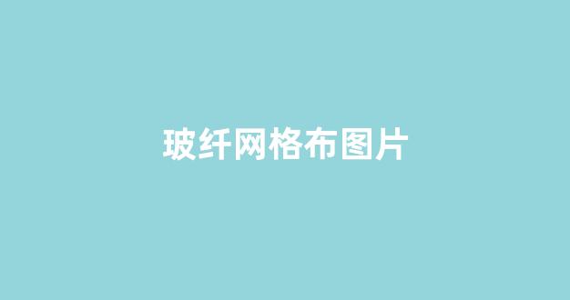 玻纤网格布图片(玻纤网格布对身体危害)_https://www.eamstsz.com_深交所_第1张