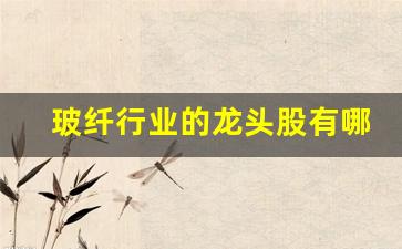 玻纤行业的龙头股有哪些(玻纤有哪些上市公司)_https://www.hhem8.com_深交所_第1张
