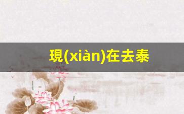 現(xiàn)在去泰國落地簽要帶多少錢呢(去泰國落地簽證辦理流程)