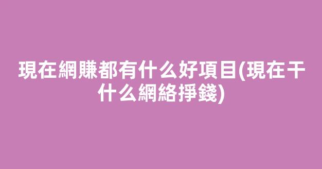 現在網賺都有什么好項目(現在干什么網絡掙錢) - 嚴選資源大全