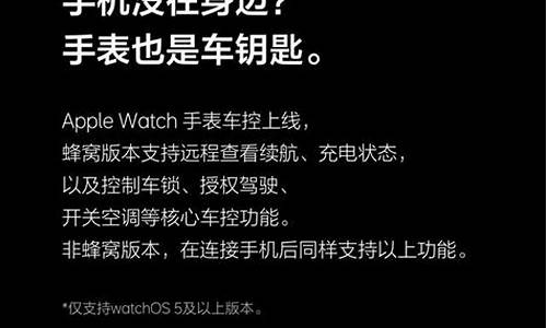 理想汽车支持什么手机_理想汽车支持什么手机无线充电