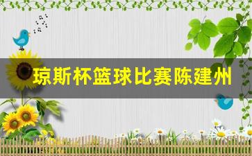 琼斯杯篮球比赛陈建州-cba琼斯打球独