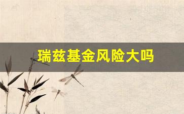 瑞兹基金风险大吗(瑞兹基金在证券账户怎么买)_https://www.luoxuangg888.com_北交所_第1张