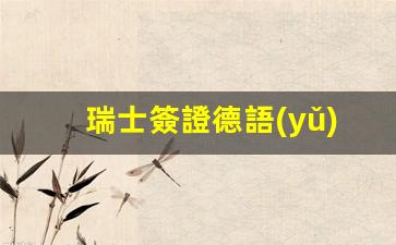 瑞士簽證申請(qǐng)必備，德語(yǔ)翻譯全解析及簽證流程詳解