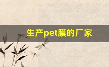 生产pet膜的厂家(pet膜厂家排名)_https://www.wanyuyiyao.com_上交所_第1张
