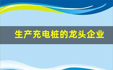 生产充电桩的龙头企业(充电桩设备生产龙头)_https://www.hn-life.com_上交所_第1张