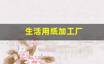 生活用纸加工厂(生活用纸加工厂赚钱吗)_https://www.hn-life.com_科创板_第1张