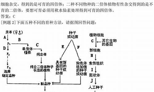 高考生物题目加解析答案_生物高考题解析