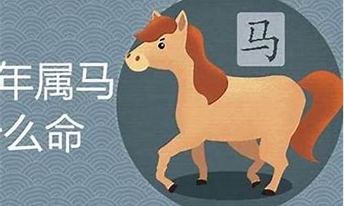 属猪的2021年什么时候结婚最好-生肖属猪什么时候结婚