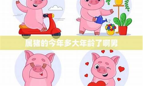 生肖属猪的人今年多大了-属猪的人今年多大岁数?