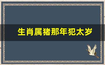 生肖属猪那年犯太岁-属猪的人哪年犯太岁