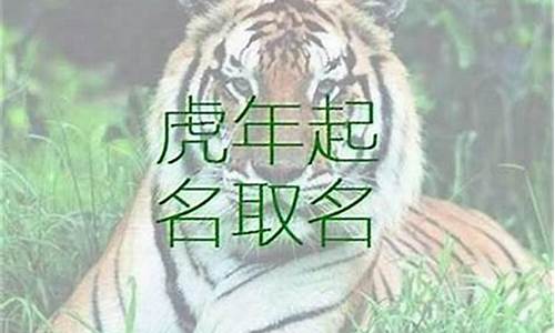 生肖属虎取什么名字好-生肖属虎取名大全