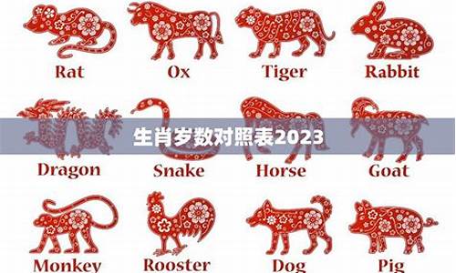 生肖岁数2019_生肖岁数表2023图片