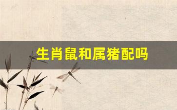 生肖鼠和属猪配吗婚姻如何-生肖鼠和属猪配吗