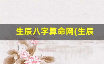 生辰八字算命网(生辰八字算命网站)