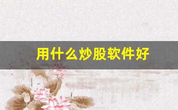 用什么炒股软件好(什么炒股软件好用手机版)_https://www.shshucaipeisong.com_上交所_第1张